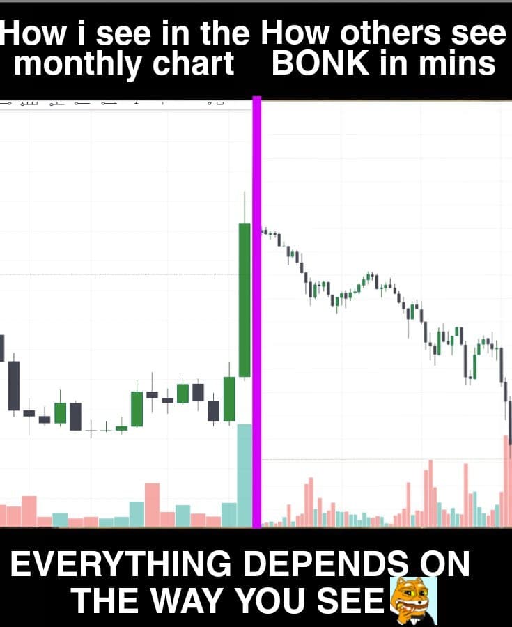 This is how $BONK works!!! https://t.co/6rxY99WIX6